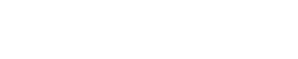 VT Logo